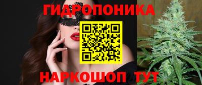 скорость Кандалакша