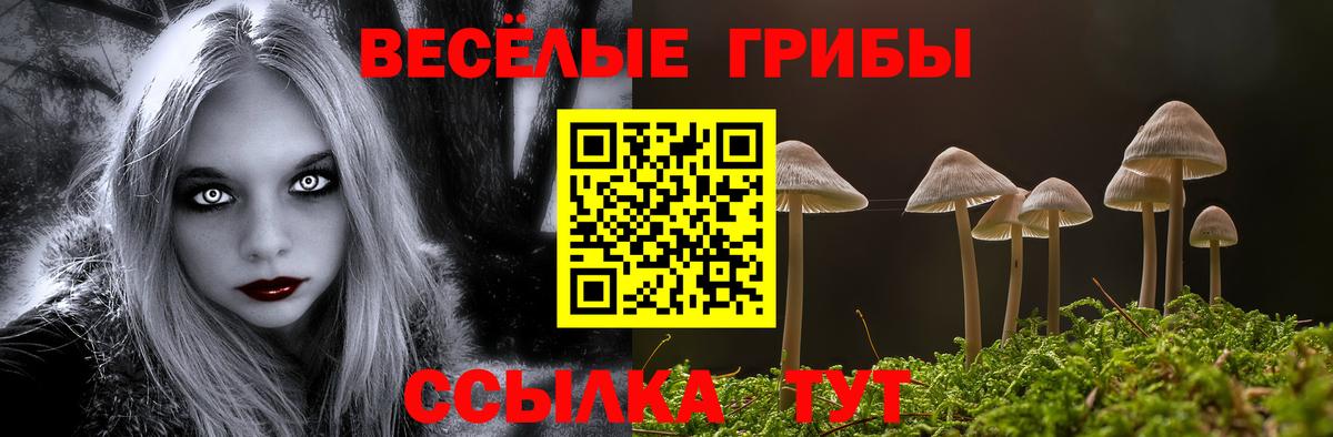 купить закладку  Галлюциногенные грибы мухоморы  Вход с VPN  Троицк 